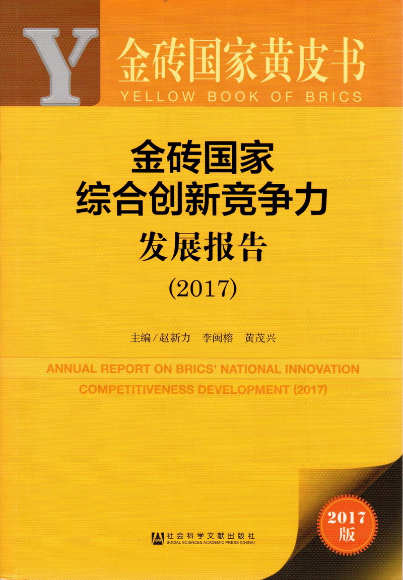 嗯啊虐阴视频在线观看金砖国家综合创新竞争力发展报告（2017）